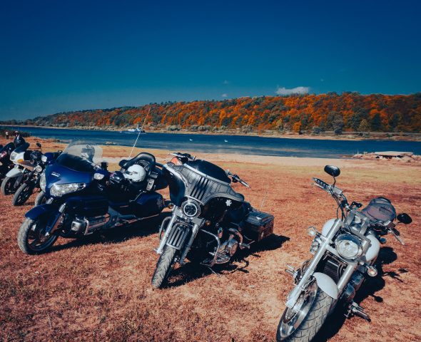 BIKES ROAD BROTHERS